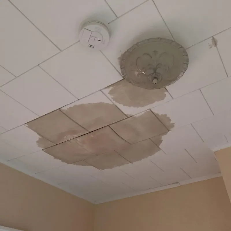 Ceiling Water Damage Repair in Woods County, OK